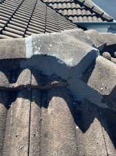 Poor Maintenance of Roof Tiles 