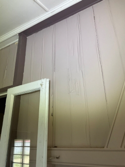 Termite Damage to walls of home